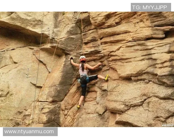 武汉攀岩队的整体压制现象及其对攀岩热点的影响分析 武汉攀岩队的整体压制现象及其对攀岩热点的影响分析