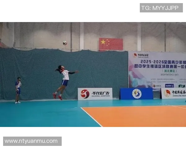 武汉排球队逆袭之旅的真实记录与奋斗精神的展现 武汉排球队逆袭之旅的真实记录与奋斗精神的展现