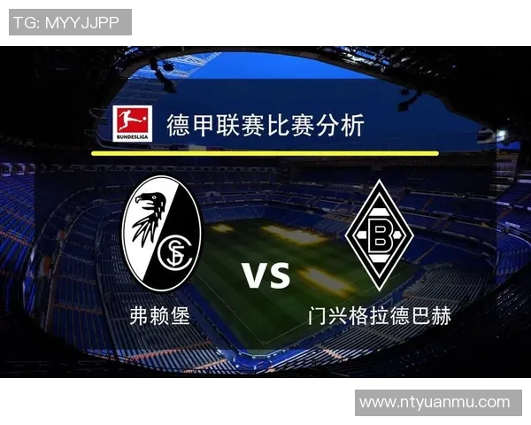 2017年门兴格拉德巴赫对阵汉堡精彩回顾与赛后分析