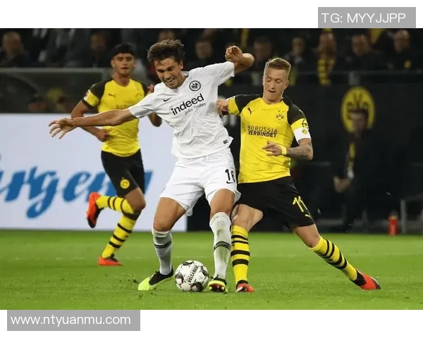 不伦瑞克主场迎战多特蒙德双方争夺德甲宝贵积分之战