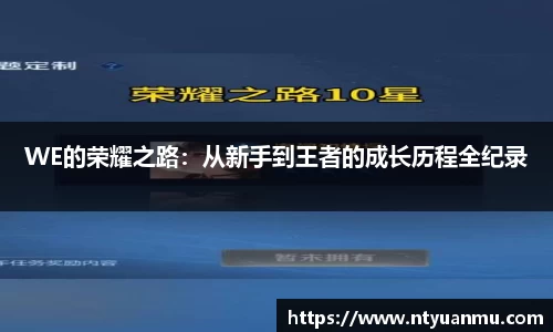 WE的荣耀之路：从新手到王者的成长历程全纪录