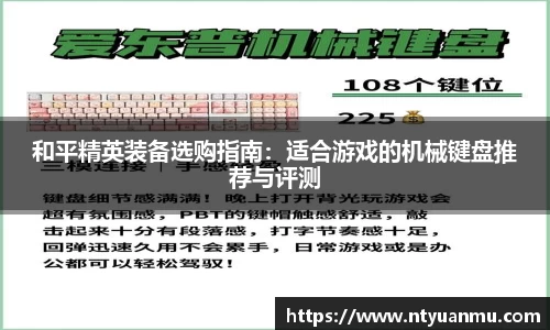 门徒娱乐平台登录入口