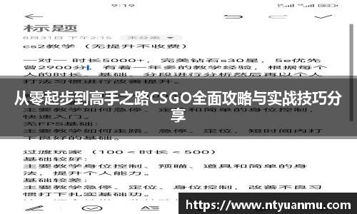 从零起步到高手之路CSGO全面攻略与实战技巧分享