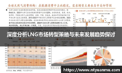 深度分析LNG市场转型策略与未来发展趋势探讨